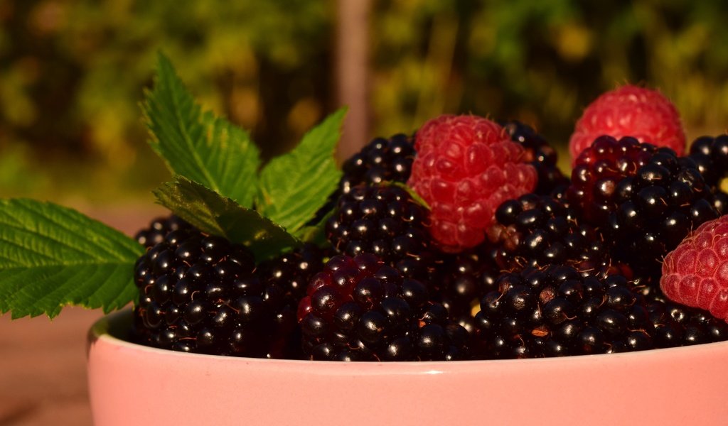 Обои листья, макро, малина, ягоды, чашка, ежевика, leaves, macro, raspberry, berries, cup, blackberry разрешение 6000x3375 Загрузить