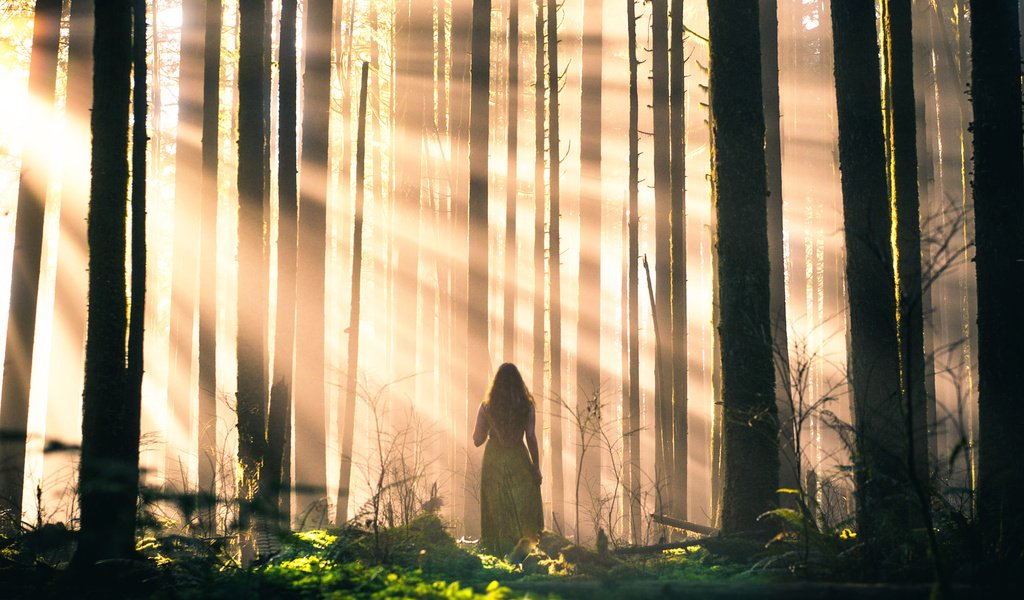 Обои свет, деревья, лес, девушка, лучи, стволы, lizzy gadd, light, trees, forest, girl, rays, trunks разрешение 2000x1333 Загрузить