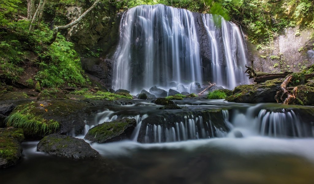 Обои деревья, вода, камни, листья, водопад, поток, мох, trees, water, stones, leaves, waterfall, stream, moss разрешение 2048x1367 Загрузить