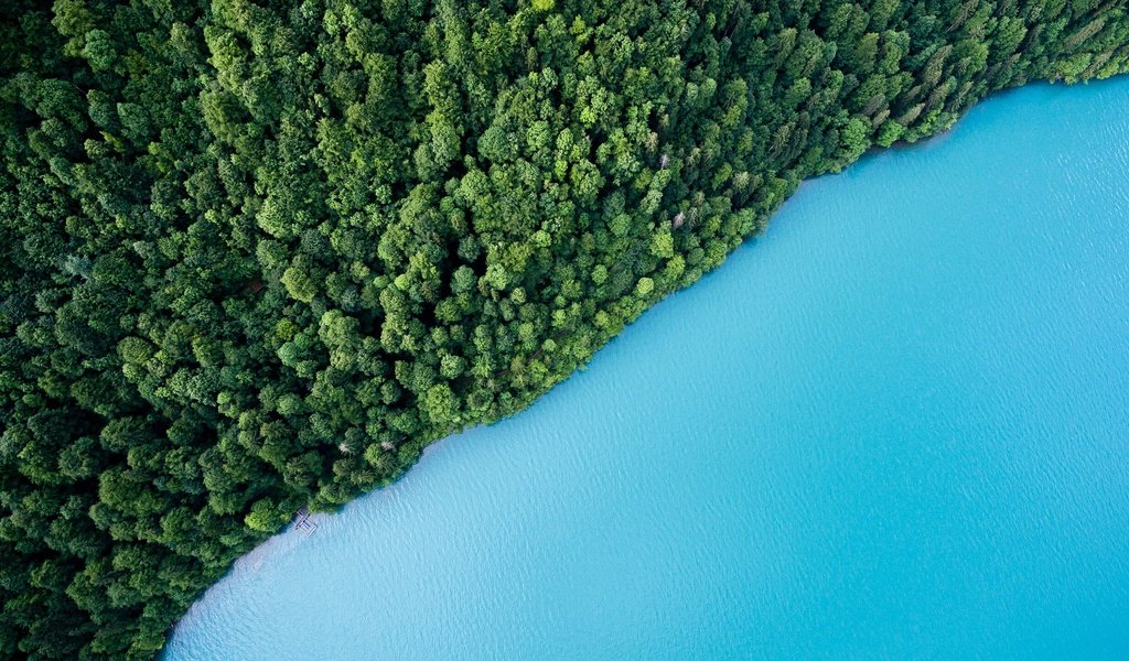 Обои деревья, вода, озеро, зелень, лес, вид сверху, trees, water, lake, greens, forest, the view from the top разрешение 2560x1440 Загрузить