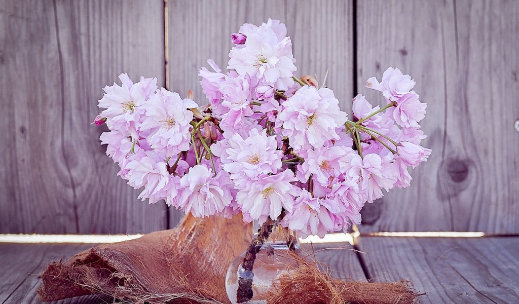 Обои цветы, букет, сакура, ваза, flowers, bouquet, sakura, vase разрешение 1920x1080 Загрузить