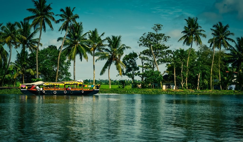 Обои деревья, kerala, alappuzha, река, солнце, зелень, домики, лодка, пальмы, индия, trees, river, the sun, greens, houses, boat, palm trees, india разрешение 2700x1795 Загрузить