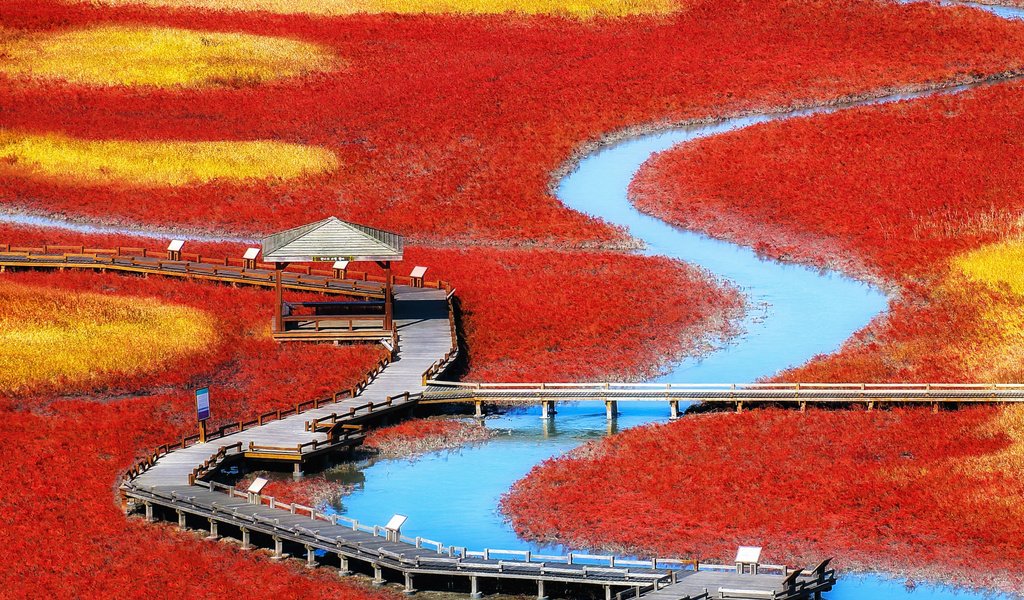 Обои река, природа, пейзаж, поля, мост, корея, деревянный мост, river, nature, landscape, field, bridge, korea, wooden bridge разрешение 2880x2560 Загрузить