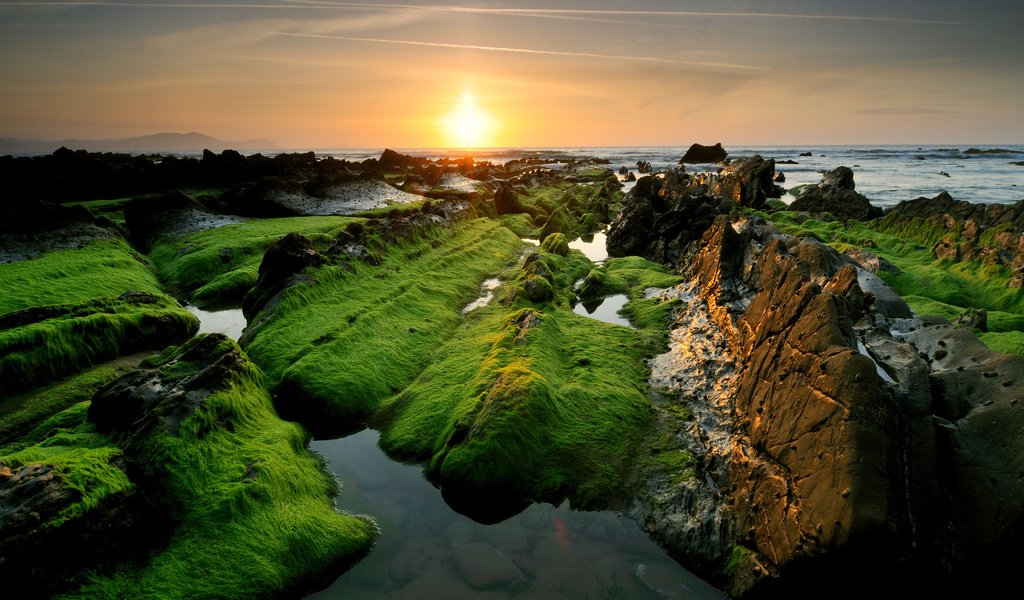 Обои небо, скалы, солнце, камни, море, побережье, водоросли, the sky, rocks, the sun, stones, sea, coast, algae разрешение 2560x1700 Загрузить