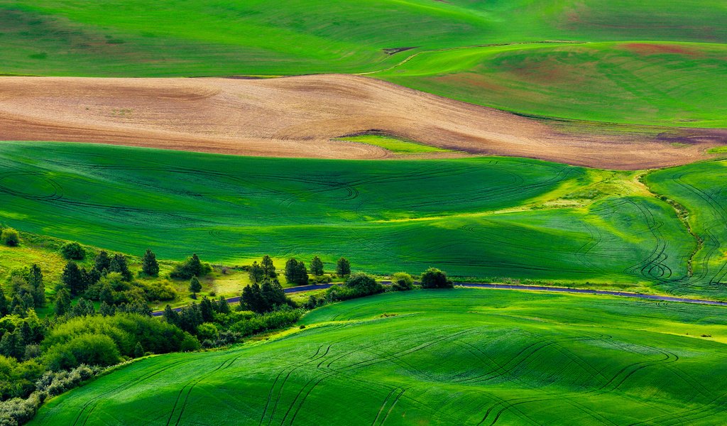 Обои трава, деревья, холмы, пейзаж, поля, grass, trees, hills, landscape, field разрешение 2880x1920 Загрузить