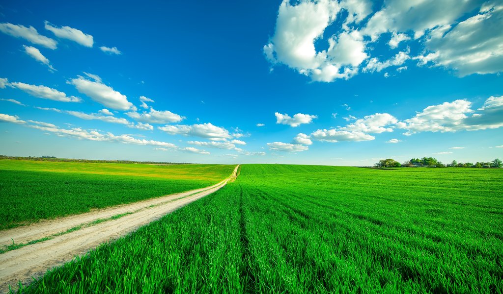 Обои небо, дорога, трава, облака, поле, горизонт, the sky, road, grass, clouds, field, horizon разрешение 4500x3000 Загрузить