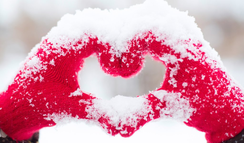 Обои снег, зима, сердце, любовь, руки, варежки, рукавицы, snow, winter, heart, love, hands, mittens разрешение 4400x2933 Загрузить