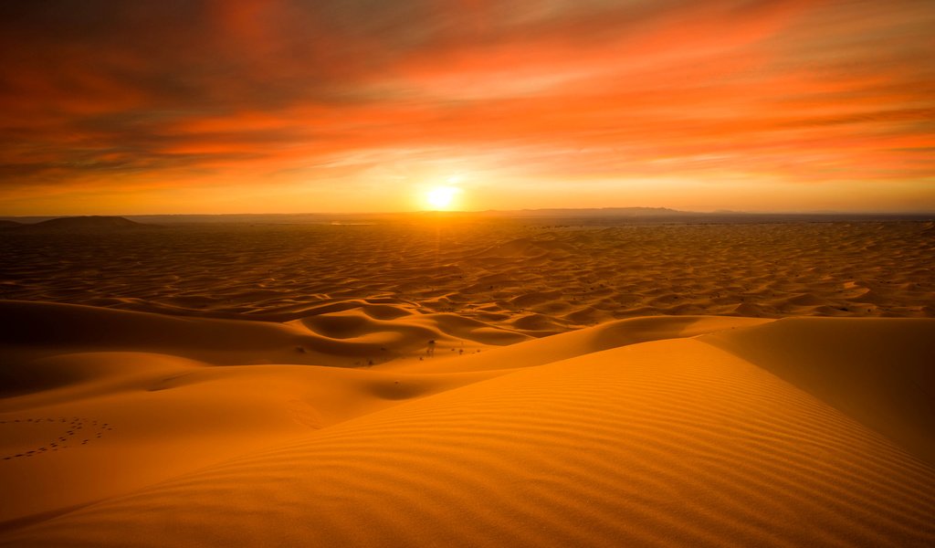 Обои солнце, закат, песок, горизонт, пустыня, дюны, сахара, the sun, sunset, sand, horizon, desert, dunes, sugar разрешение 5232x3057 Загрузить