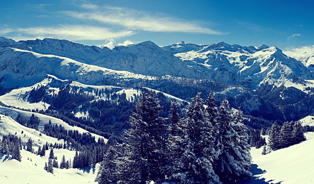 Обои небо, деревья, горы, снег, лес, зима, снежные вершины, the sky, trees, mountains, snow, forest, winter, snowy peaks разрешение 3571x2678 Загрузить