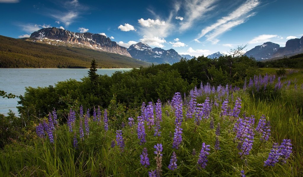 Обои небо, цветы, облака, река, горы, утро, лето, the sky, flowers, clouds, river, mountains, morning, summer разрешение 2048x1365 Загрузить