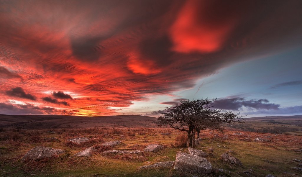 Обои облака, дерево, камни, англия, зарево, дартмур, девон, clouds, tree, stones, england, glow, dartmoor, devon разрешение 2048x1202 Загрузить