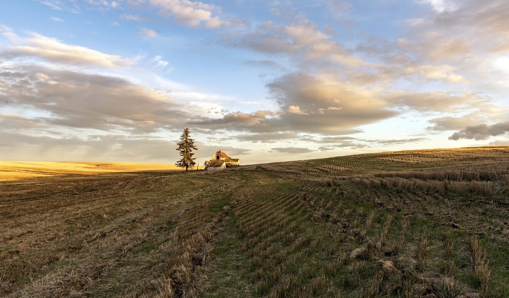 Обои небо, дом, свет, облака, природа, дерево, утро, поле, горизонт, the sky, house, light, clouds, nature, tree, morning, field, horizon разрешение 2048x1367 Загрузить