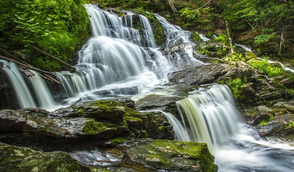 Обои вода, камни, лес, водопад, поток, water, stones, forest, waterfall, stream разрешение 3600x2400 Загрузить