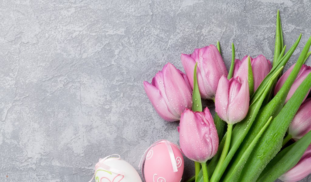 Обои весна, тюльпаны, пасха, spring, tulips, easter разрешение 5616x3744 Загрузить