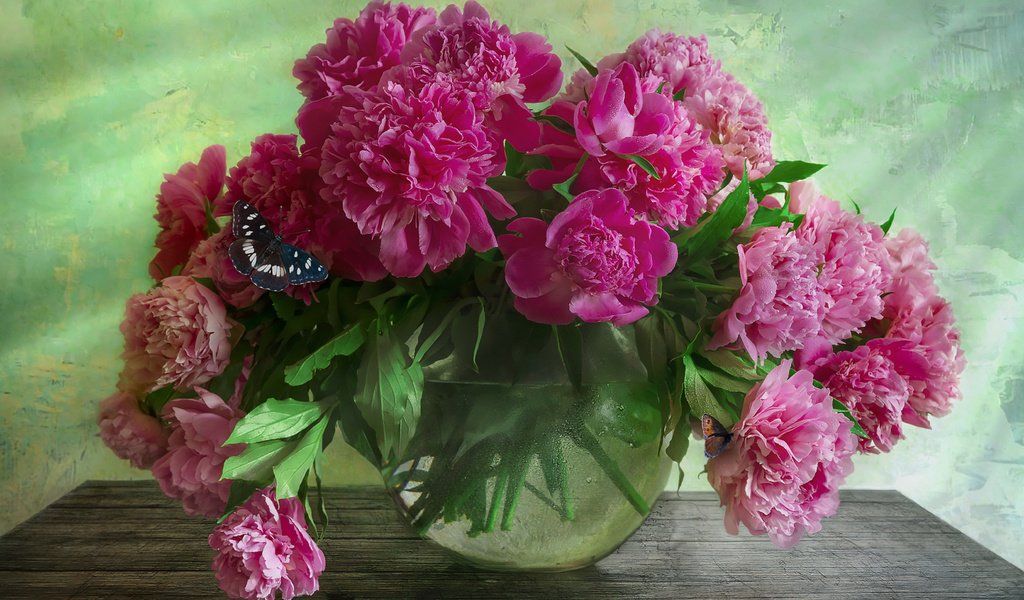 Обои цветы, бабочка, ваза, аквариум, столик, пионы, flowers, butterfly, vase, aquarium, table, peonies разрешение 1920x1281 Загрузить