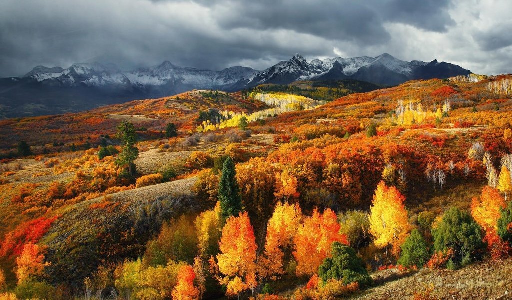 Обои деревья, горы, лес, листья, осень, сша, колорадо, trees, mountains, forest, leaves, autumn, usa, colorado разрешение 1920x1200 Загрузить