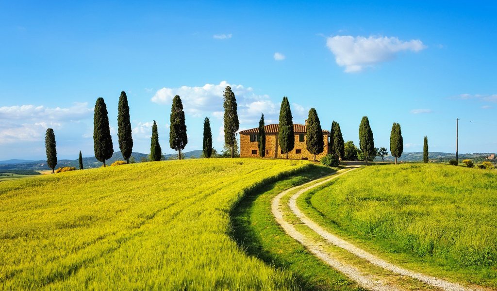 Обои небо, кипарисы, дорога, облака, холмы, природа, италия, ферма, тоскана, the sky, cypress, road, clouds, hills, nature, italy, farm, tuscany разрешение 1920x1200 Загрузить