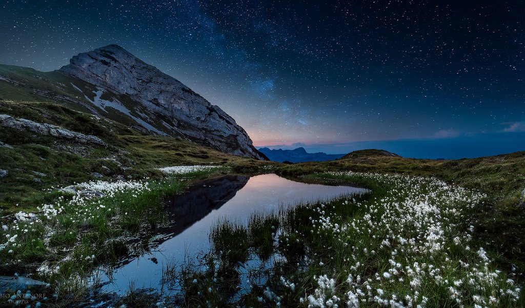 Обои небо, цветы, озеро, горы, природа, звезды, сумерки, fabio antenore, the sky, flowers, lake, mountains, nature, stars, twilight разрешение 1920x1080 Загрузить