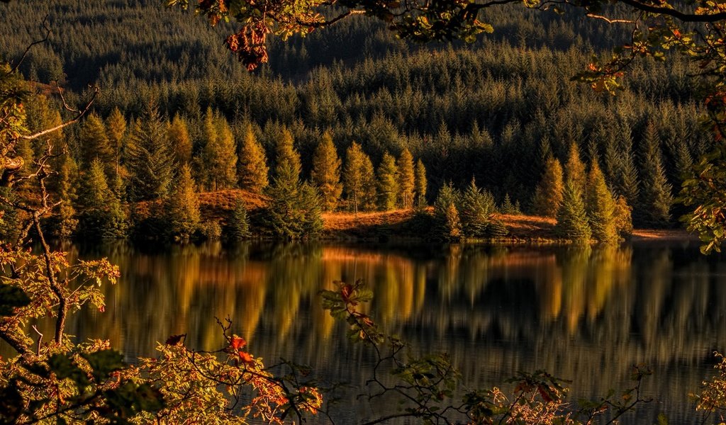 Обои деревья, achray forest, loch drunkie, озеро, лес, отражение, осень, шотландия, озеро дранки, троссачс, trees, lake, forest, reflection, autumn, scotland, lake shingles, trossachs разрешение 2160x1080 Загрузить