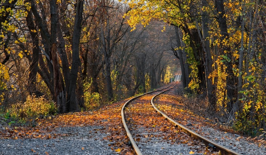 Обои деревья, железная дорога, рельсы, природа, лес, листья, парк, осень, trees, railroad, rails, nature, forest, leaves, park, autumn разрешение 1920x1080 Загрузить