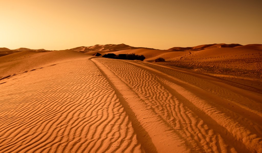 Обои пейзаж, песок, пустыня, следы, дюны, landscape, sand, desert, traces, dunes разрешение 3840x2400 Загрузить