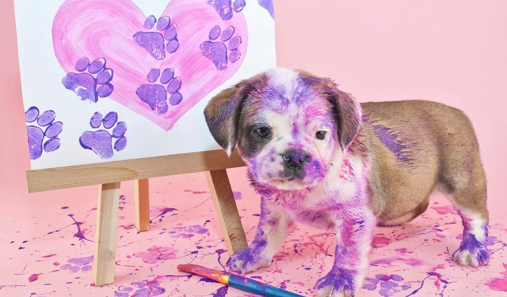 Обои картина, краски, собака, щенок, английский бульдог, picture, paint, dog, puppy, english bulldog разрешение 1920x1200 Загрузить