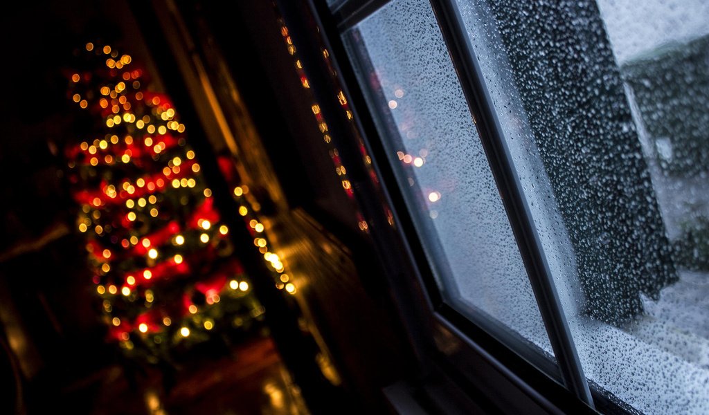 Обои новый год, елка, окно, рождество, огоньки, гирлянда, боке, alvaro miranda, new year, tree, window, christmas, lights, garland, bokeh разрешение 1920x1200 Загрузить
