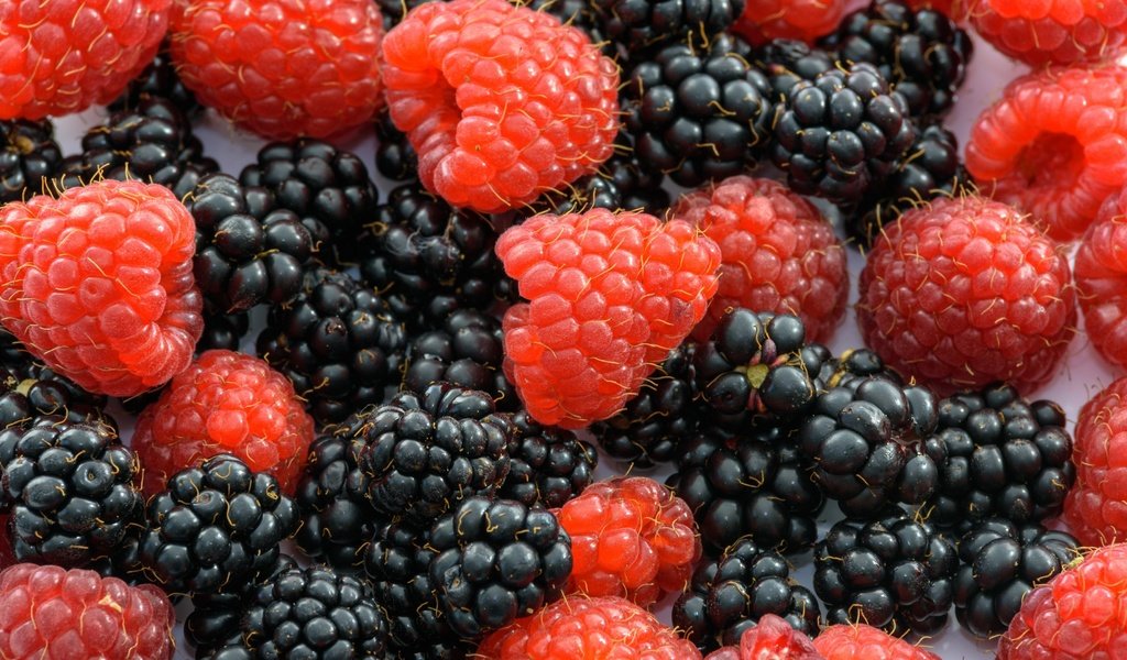 Обои макро, малина, ягоды, ежевика, macro, raspberry, berries, blackberry разрешение 3840x2160 Загрузить