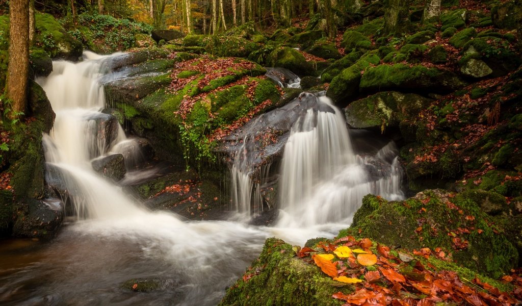 Обои река, природа, камни, лес, листья, водопад, осень, мох, river, nature, stones, forest, leaves, waterfall, autumn, moss разрешение 2880x1800 Загрузить