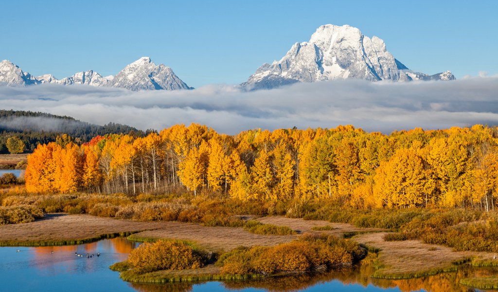 Обои небо, осень, деревья, река, горы, природа, лес, пейзаж, туман, the sky, autumn, trees, river, mountains, nature, forest, landscape, fog разрешение 3840x2400 Загрузить