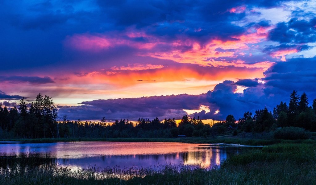 Обои деревья, вечер, озеро, природа, закат, пейзаж, небо облака, trees, the evening, lake, nature, sunset, landscape, sky clouds разрешение 3840x2160 Загрузить