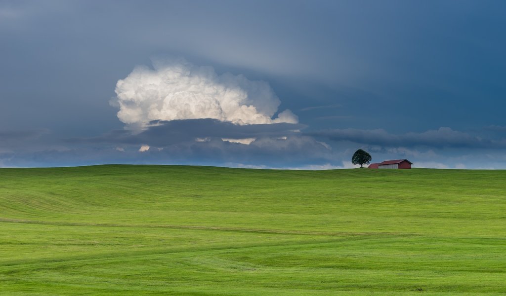 Обои облака, природа, дерево, пейзаж, поле, горизонт, дом, голубое небо, clouds, nature, tree, landscape, field, horizon, house, blue sky разрешение 6000x4000 Загрузить