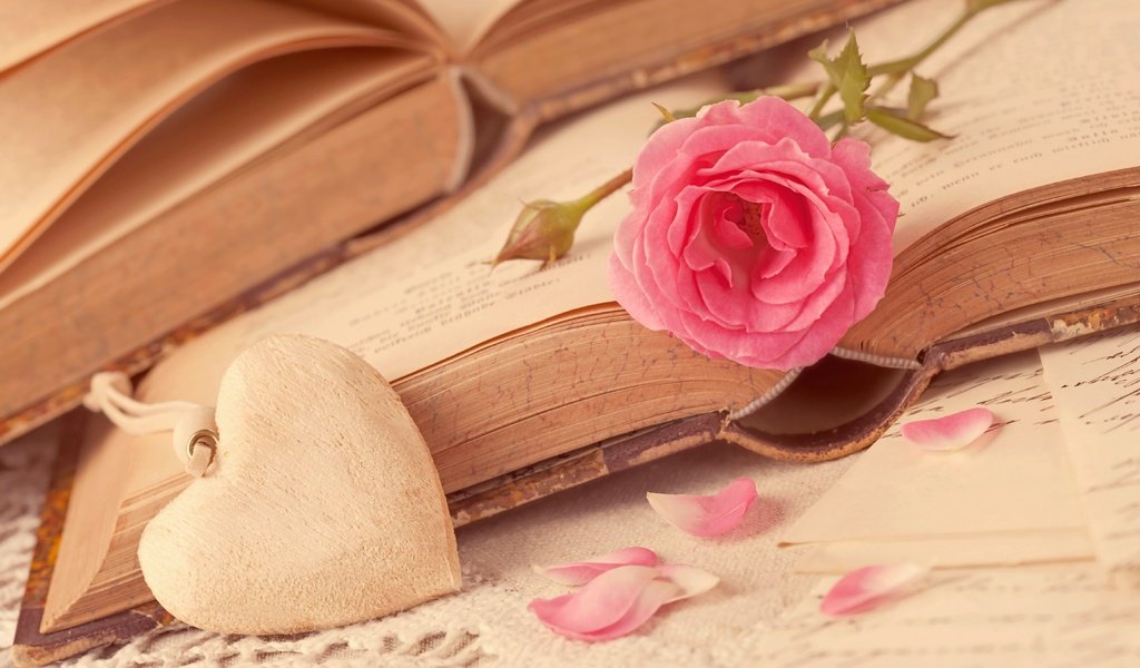 Обои цветок, роза, лепестки, книги, сердце, любовь, романтика, flower, rose, petals, books, heart, love, romance разрешение 5616x3744 Загрузить