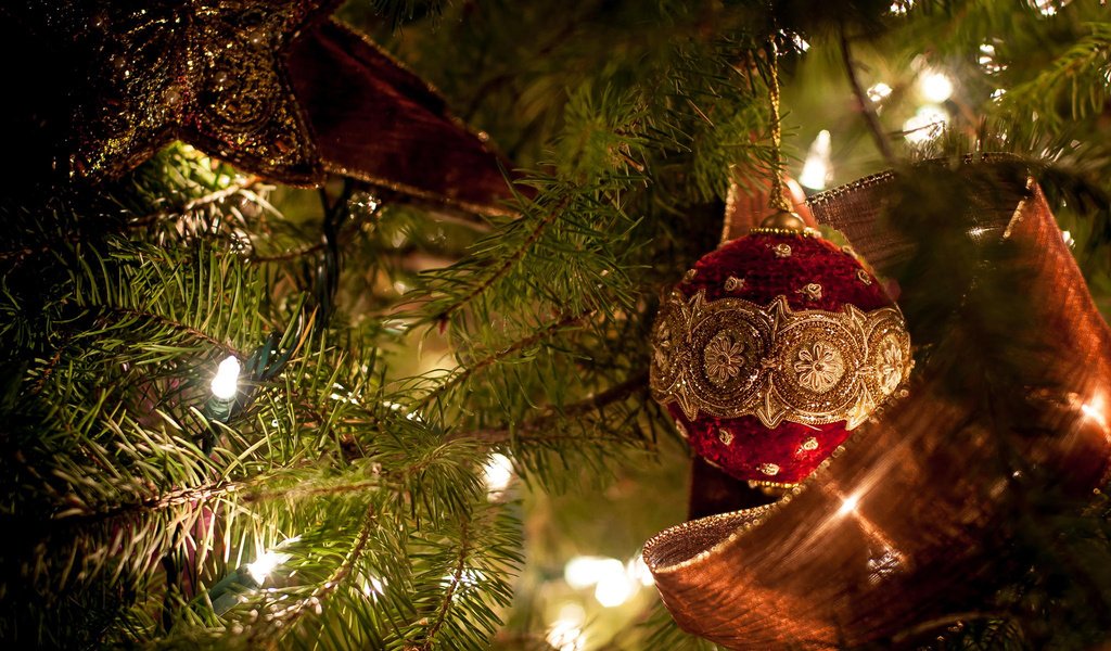 Обои новый год, елка, игрушки, рождество, елочные украшения, new year, tree, toys, christmas, christmas decorations разрешение 1920x1200 Загрузить