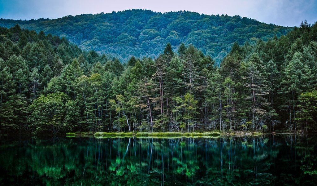 Обои деревья, озеро, природа, лес, отражение, водоем, trees, lake, nature, forest, reflection, pond разрешение 2880x1800 Загрузить