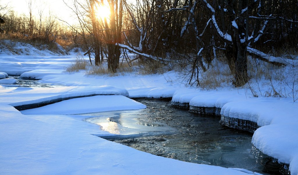 Обои деревья, река, снег, природа, зима, trees, river, snow, nature, winter разрешение 1920x1200 Загрузить