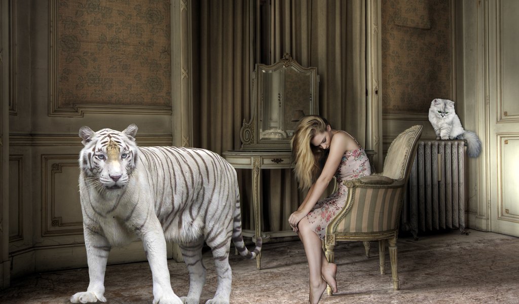 Обои тигр, босиком, девушка, большой кот, кошка, батарея, комната, креатив, волосы, кресло, белый тигр, tiger, barefoot, girl, big cat, cat, battery, room, creative, hair, chair, white tiger разрешение 2880x1800 Загрузить