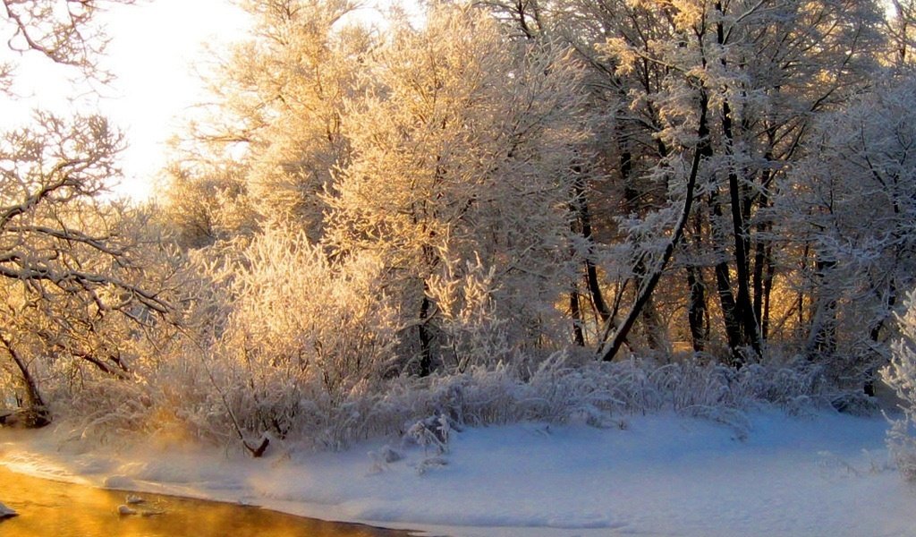 Обои свет, река, лес, зима, отражение, иней, оранжевый, седина, light, river, forest, winter, reflection, frost, orange, gray разрешение 3840x1200 Загрузить