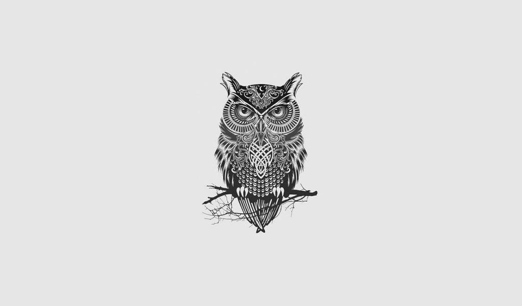 Обои арт, сова, минимализм, птица, art, owl, minimalism, bird разрешение 1920x1080 Загрузить