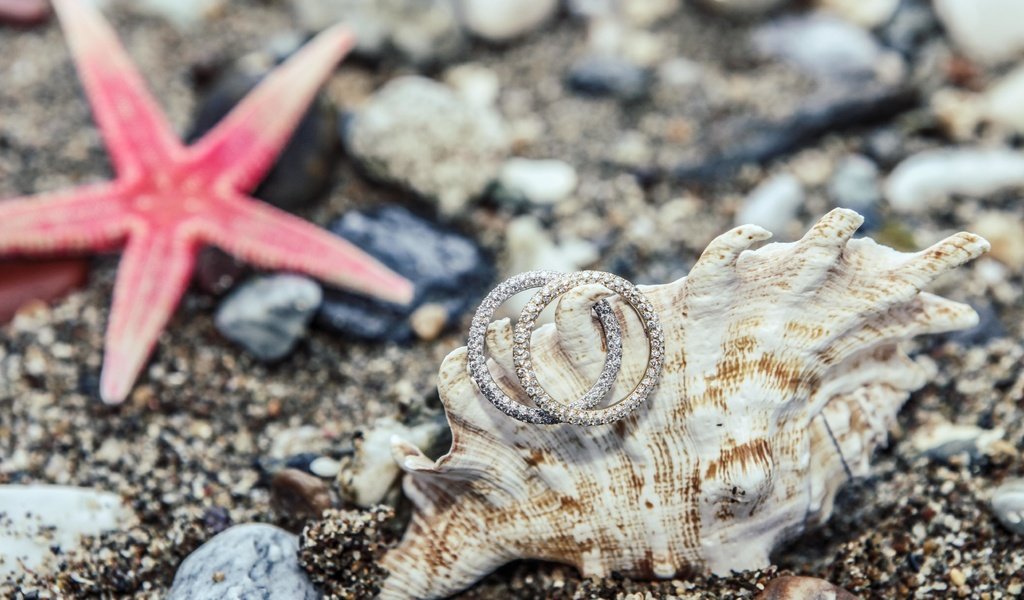 Обои камни, украшения, песок, кольца, ракушка, морская звезда, stones, decoration, sand, ring, shell, starfish разрешение 4990x3327 Загрузить