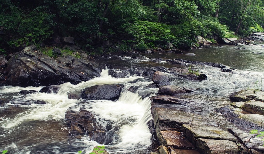 Обои река, скалы, камни, листва, river, rocks, stones, foliage разрешение 3840x2160 Загрузить