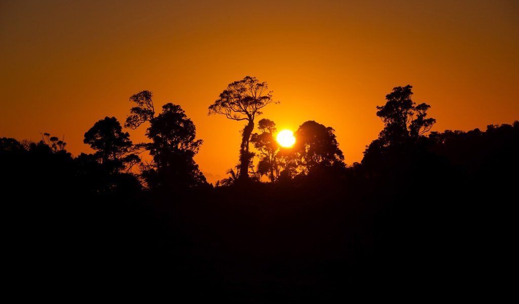 Обои небо, деревья, солнце, закат, силуэт, the sky, trees, the sun, sunset, silhouette разрешение 3840x2400 Загрузить