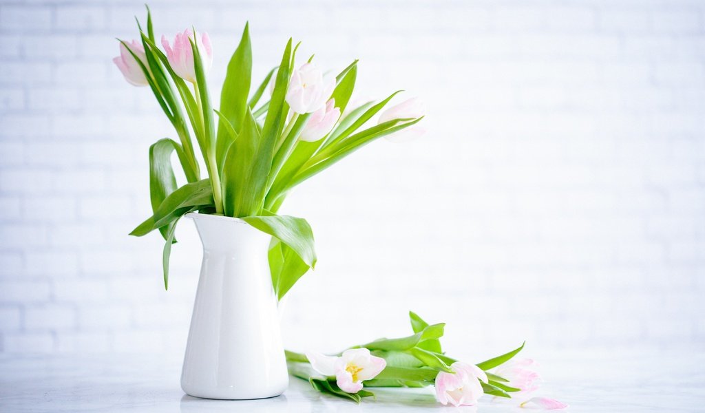 Обои цветы, букет, тюльпаны, ваза, flowers, bouquet, tulips, vase разрешение 5664x3776 Загрузить