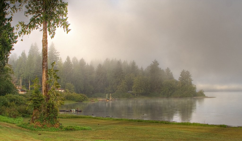 Обои деревья, озеро, река, природа, лес, туман, trees, lake, river, nature, forest, fog разрешение 3456x1936 Загрузить