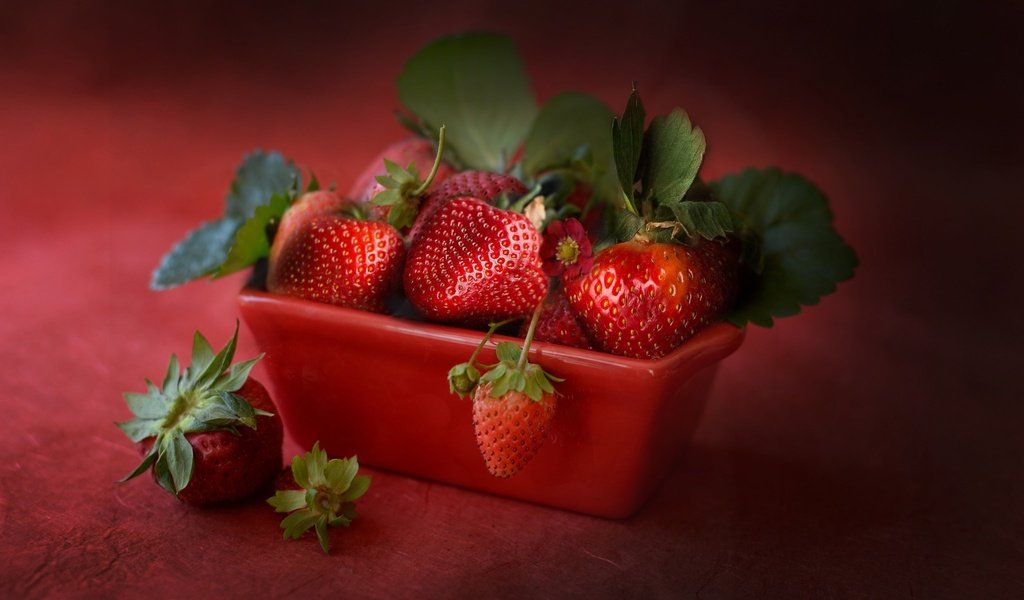 Обои ягода, клубника, спелая, земляника, сочная, berry, strawberry, ripe, strawberries, juicy разрешение 2048x1344 Загрузить