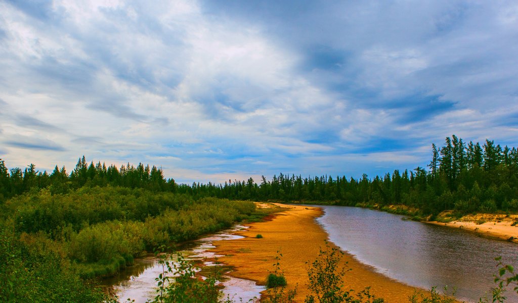 Обои вода, река, природа, берег, зелень, лес, елки, water, river, nature, shore, greens, forest, tree разрешение 1920x1200 Загрузить