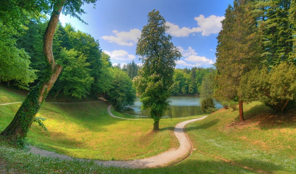 Обои облака, деревья, озеро, тропинка, пруд, clouds, trees, lake, path, pond разрешение 1920x1080 Загрузить