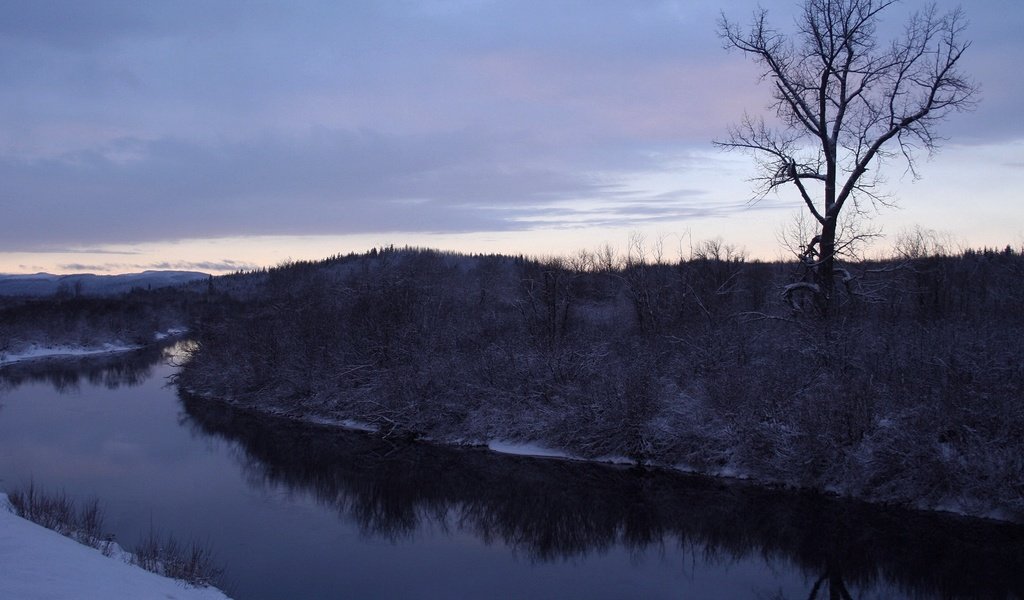 Обои деревья, река, снег, зима, trees, river, snow, winter разрешение 1920x1080 Загрузить