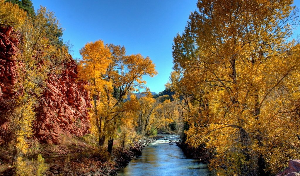 Обои небо, деревья, река, природа, осень, желтые листья, the sky, trees, river, nature, autumn, yellow leaves разрешение 1920x1080 Загрузить