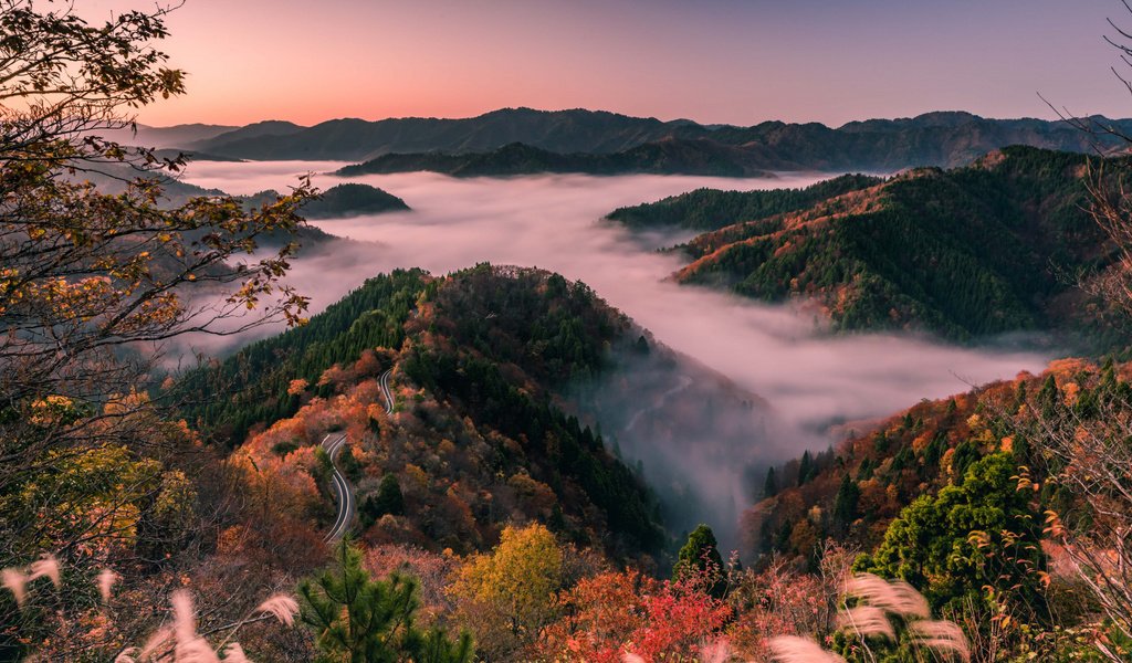 Обои японии, утренний туман, shiga prefecture, лесистые холмы, japan, morning mist, wooded hills разрешение 1920x1080 Загрузить